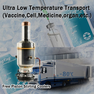 Free-Piston Stirling Engine ULT Storage Freezer -130C for Vaccine and Cell Preservation