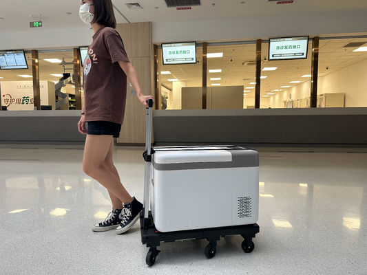 Stirling Cooler 12V DC Hospital Laboratory Freezer for Medical Transfer at 2-8 Degrees