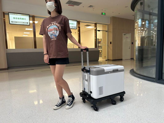 12V DC Hospital Vaccine Portable Freezer with Compressor and Precise Temperature Control