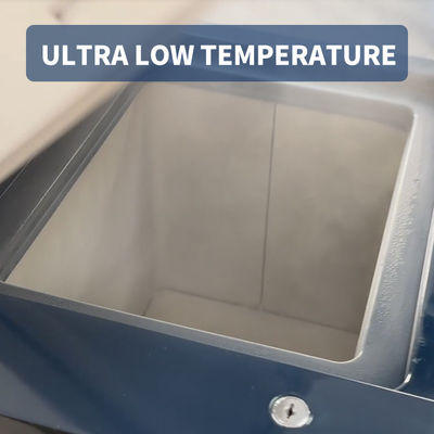 Refport Mini Freezer -60C Low Temperature 12V/24V DC Portable Refrigerator for Table
